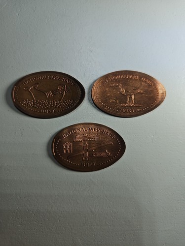 Elongated coins juist - juist, casa